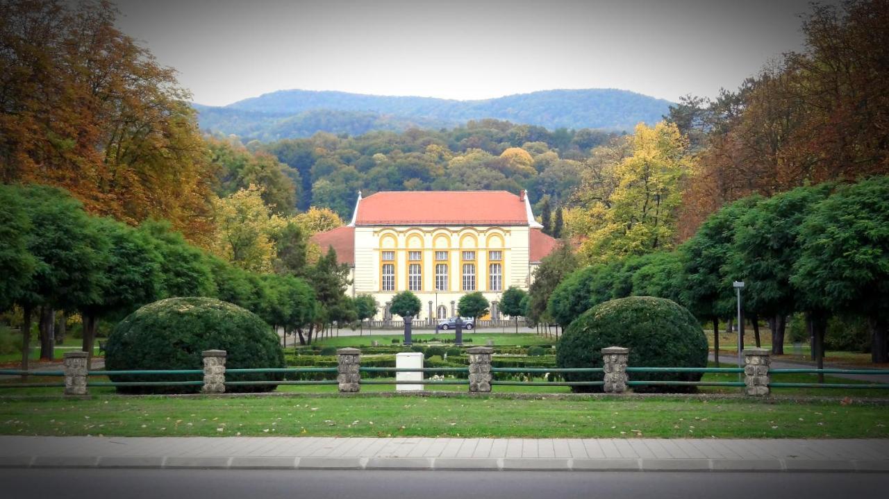 Ferienwohnung Dijamant Banja Koviljača Exterior foto