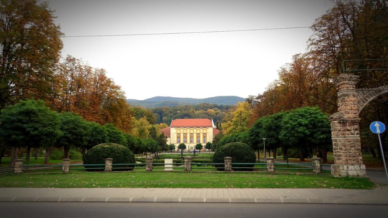Ferienwohnung Dijamant Banja Koviljača Exterior foto